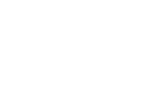 HeirPros